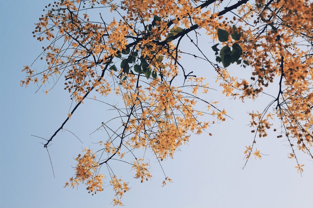 Natural Language Processing: Hướng dẫn toàn diện 13-03-2025