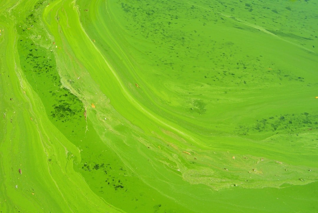 Green IT: Hướng dẫn toàn diện 29-03-2025