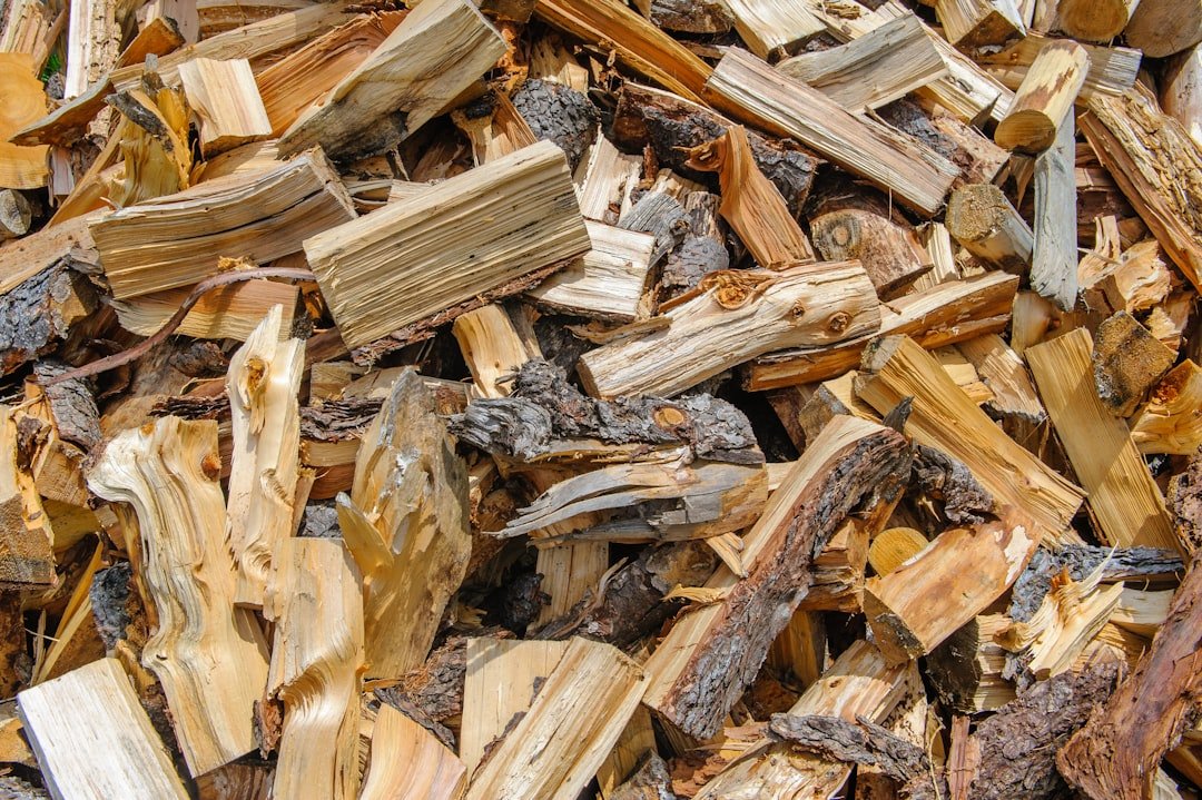 Logging: Hướng dẫn toàn diện 12-04-2025