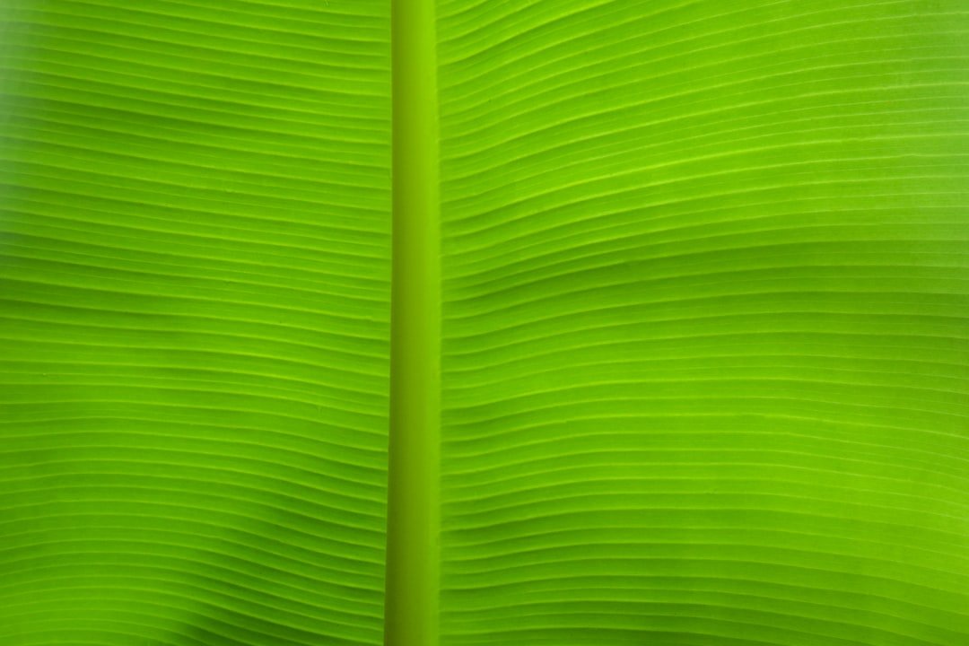 Green IT: Hướng dẫn toàn diện 17-04-2025