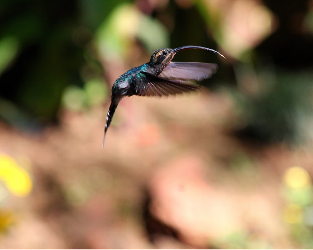 Flutter: Hướng dẫn toàn diện 23-04-2025