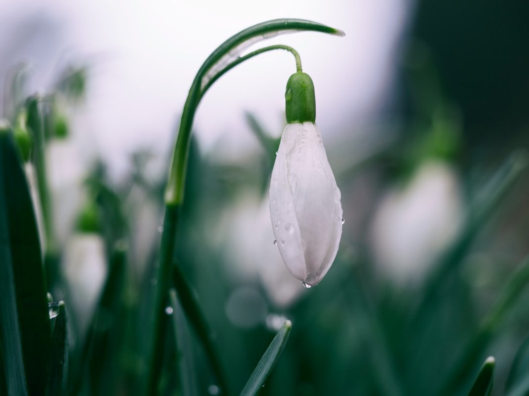 Spring Boot: Hướng dẫn toàn diện 06-05-2025